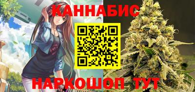 индика Аргун