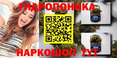 индика Аргун