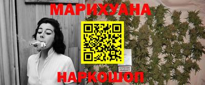 индика Аргун