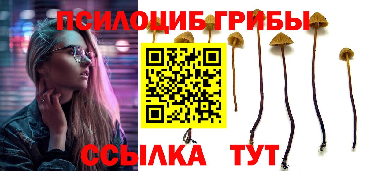наркотики  Галлюциногенные грибы Magic Shrooms  Вход с VPN  Ачхой-Мартан 